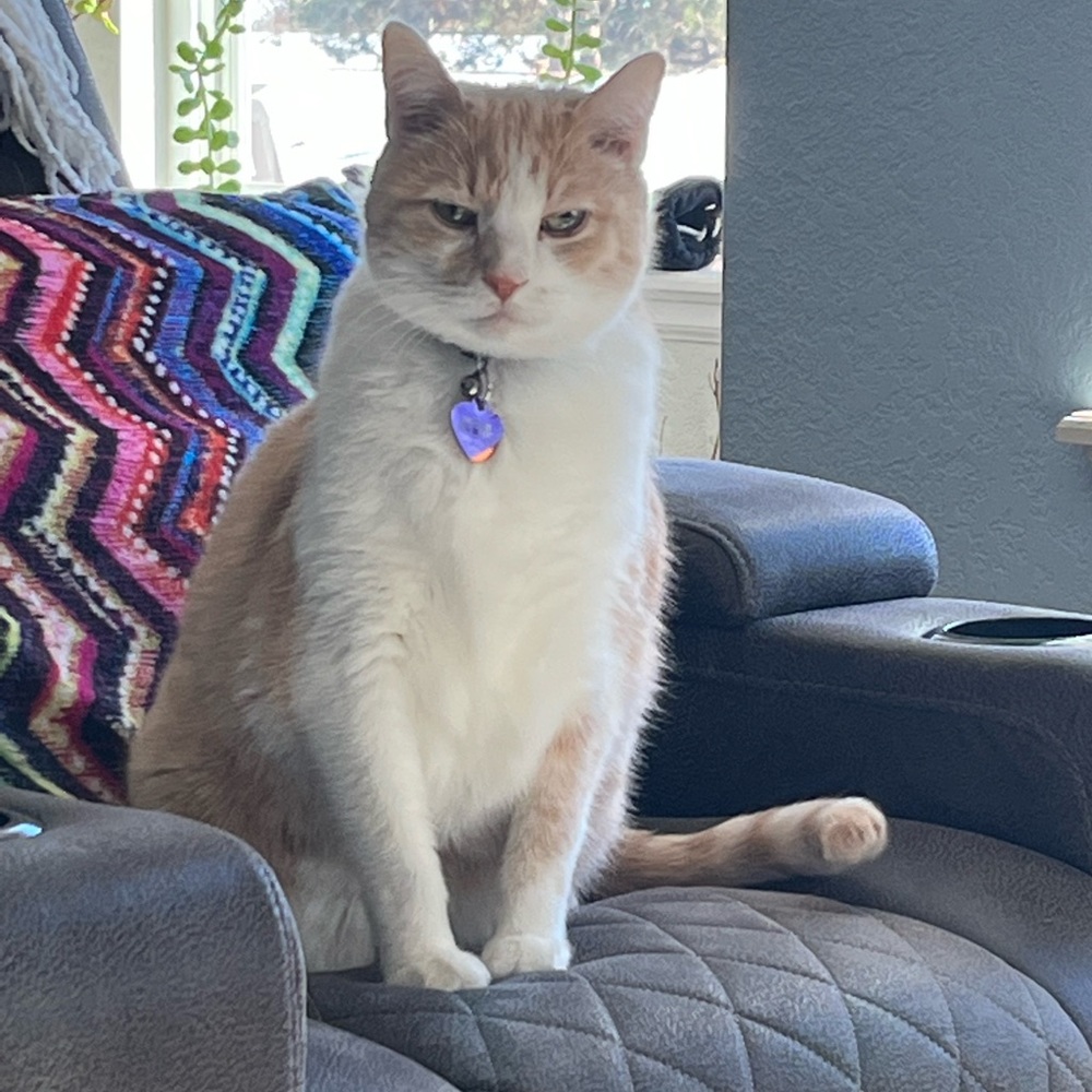 Meet your Posher, Crissa